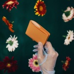 portescartes-orangedahlia-001